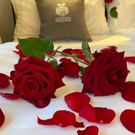 Gæstehus Driehof Landgut & Residenz Lifestyle Apt 6