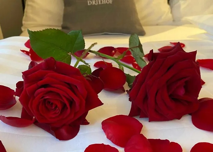 Casa de hóspedes Driehof Landgut & Residenz Lifestyle Apt 6